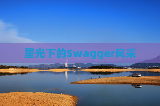 星光下的Swagger风采